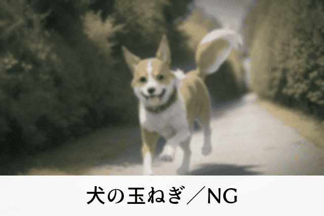 犬の玉ねぎ／NG