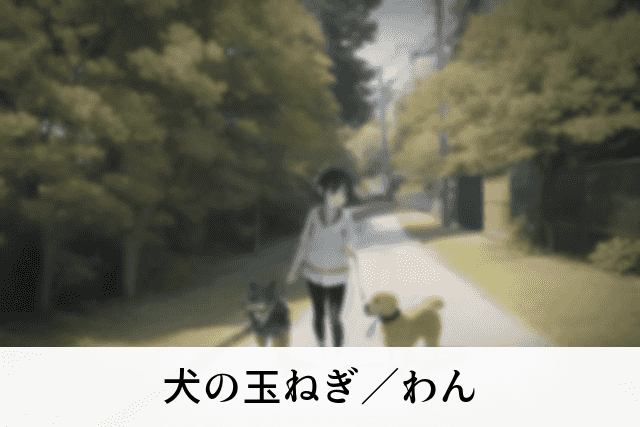 犬の玉ねぎ／わん