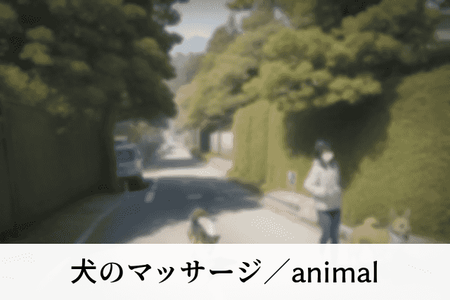 犬のマッサージ／animal