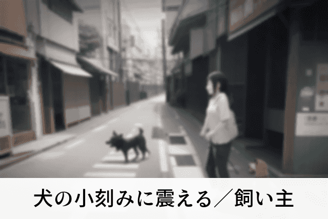 犬の小刻みに震える／飼い主