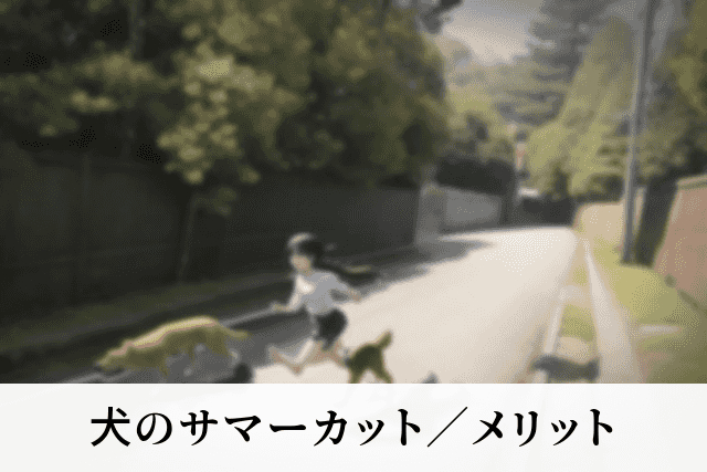 犬のサマーカット／メリット