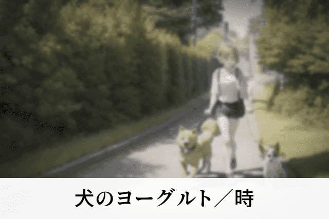 犬のヨーグルト／時